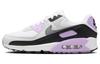 Air Max 90 Белый Сиреневый Женские DH8010-103