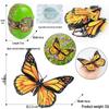 4D Stereo DIY Animal Model Kit: Eagle, Scorpion, Gecko, Rattlesnake, Spider, Lizard, Squirrel, Hedgehog