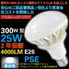 [Amazing 4000 Lumens] Industry-leading 300W 25W LED Outdoor Floodlight Bulb with 4000lm Brightness. PAR38 E26, 5000K Daylight White (flicker-free),