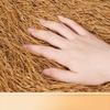 ZISIZ Artificial Thatch Roof Panel