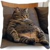 Vibrant Bohemian Style Short Plush Pillow Cover 45x45cm Charming Kitten Living Room  Bedroom Decor (Pillow Insert Not Included)
