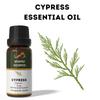 Эфирное масло Кипариса Ananta 10 мл – Древесное Вечнозеленое Ароматическое Масло для Диффузоров, Свечей и Ароматизации Дома