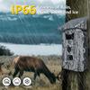 Solar-Powered HD WiFi Hunting Camera: Waterproof, Infrared, Motion Detection.