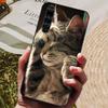 Для Coque Realme X3 SuperZoom Чехол Силиконовая Задняя Крышка Чехол для Телефона Для Realme X 3 X3 SuperZoom Чехлы Мягкий бампер Funda RMX2086 Сумка