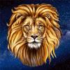 50x50cm 5D DIY Diamond Painting New Arrivals Lion Diamond Embroidery Sale Animal Rhinestones Mosaic Handmade Gift