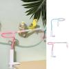 Non-Slip Bird Perch Stand With Bell Parrot Standing Pole Tabletop Parrot Biting Rod Outdoor