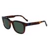 Lunettes de Soleil - ZEISS - ZS23528S - 240 TORTOISE - Sport - Homme