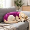 Adjustable Dog Anti Licking Shirt Soft Breathable Pet Recovery Clothes  Recovery Period