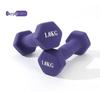 Colorful Plastisol Dumbbells - Beginner Fitness Equipment for Yoga, Slim Arms, and Weight Loss for Students and Young Girls