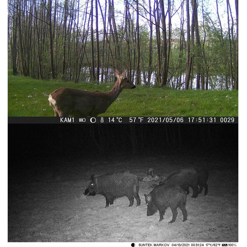 Камера для охотничьей тропы, 2,7 К, уличная камера для слежения, охотничья камера, 36 МП, камера ночного видения, ловушка, IP66, водонепроницаемая