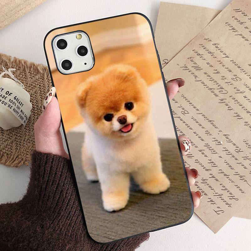Чехол для телефона MaiYaCa Pomeranian dogs для iPhone 11 12 13 mini pro XS MAX 8 7 6 6S Plus X 5S SE 2020 XR