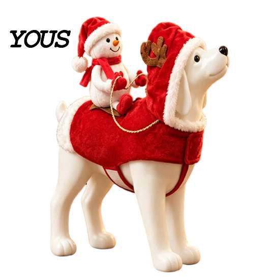 Funny Animal Cosplay Costume Santa Rider Dog Costume, Christmas Pet Outfit with Adjustable Closure, Personalized Attire Holiday Apparel for