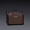 Acoustic Singer Live BOSS Acoustic Guitar Amplifier 60W BOSS/ACS-LIVE
