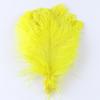 15-20 20-25 30-35CM Natural Ostrich feathers Centerpiece Multicolor Ostrich Feathers Party Table Vase Decoration plumas 10PCS