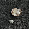Кольцо в богемном стиле с дизайном шипов, белая смола, морская звезда, ракушка, креажное прибрежное украшение для женщин, повседневное ношение