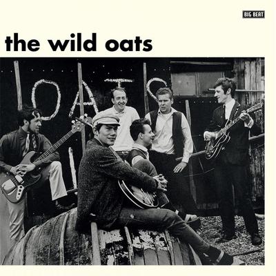 10-дюймовая пластинка WILD OATS - The Wild Oats HIQLP044 Big Beat Record 2016 UK Rock