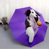 1pc Dog, Ball Automatic Opening/Closing Folding Umbrella with 8 Ribs, Portable Sunshade Umbrella Birthday and Holidays gifts yy250105096