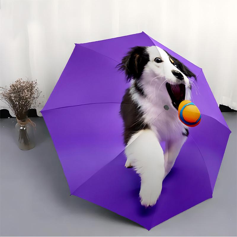 1pc Dog, Ball Automatic Opening/Closing Folding Umbrella with 8 Ribs, Portable Sunshade Umbrella Birthday and Holidays gifts yy250105096