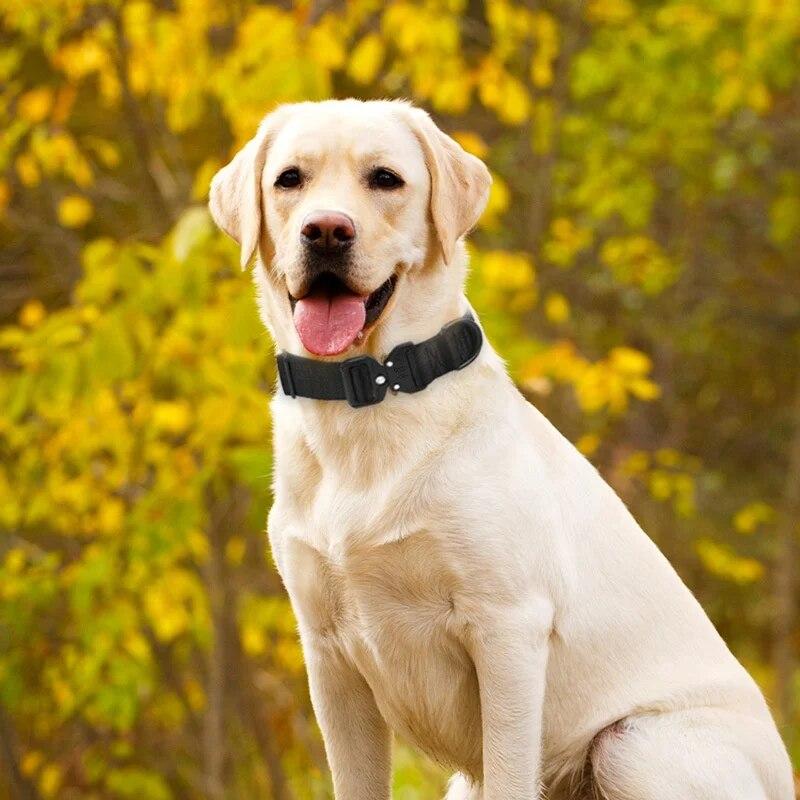 OEM Large Adjustable Dog Collar K9 Tactical Combat Pet Collar Washable Nylon Collar for Small Medium Large Dogs,Dog Accessories