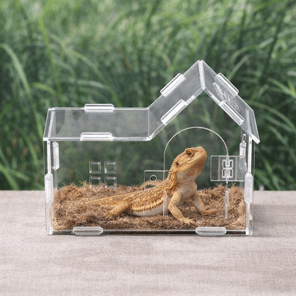 Acrylic Reptile Feeding Box Magnetic Transparent Reptile Habitat Box Anti-escape Detachable Spider Observation Box Breeding