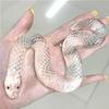 Transparent Scales Small Snake Decompression Pinch Stall Trick Pinch Joint Toy Trendy Play Vipe B8N2