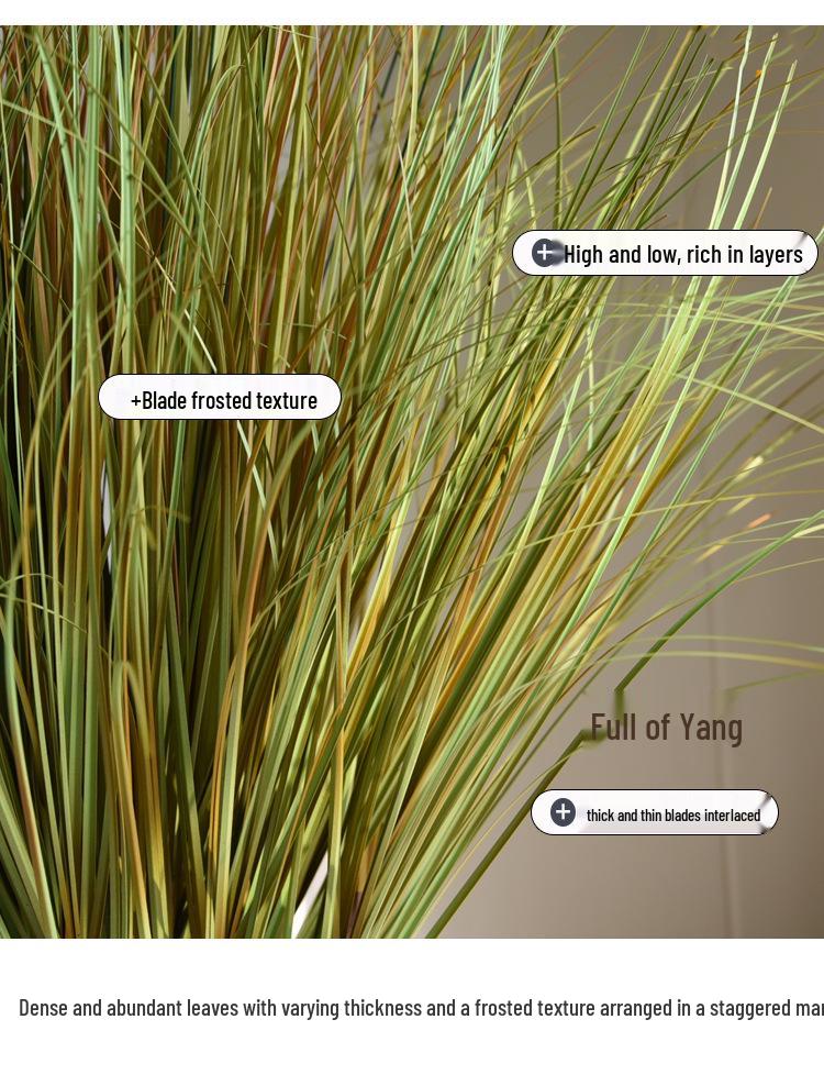 Non-Shedding Reed Grass Flower Display for Indoor Decor and Store Window