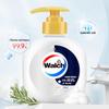 Walch Foaming Antibacterial Hand Wash (Healthy Care & Classic Gold 2-Pack)