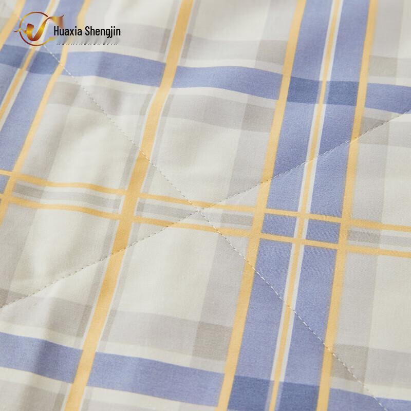 Huaxia Shengjin Machine Washable Single Winter Quilt