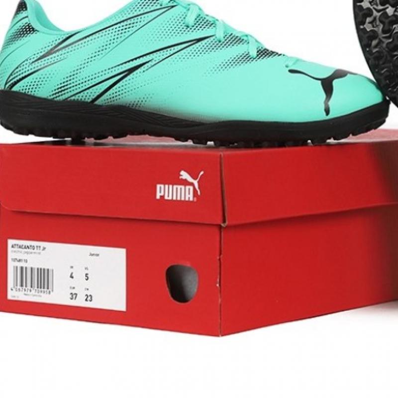 Puma Junior Soccer Shoes Futsal Shoes Atakanto Tt