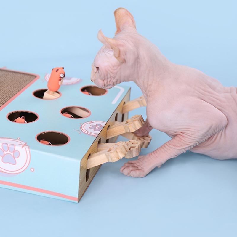 Кошка играет в хомяка, игрушка машина для хомяка, милые игрушки для кошек, котят, охота, игра, царапание, укус