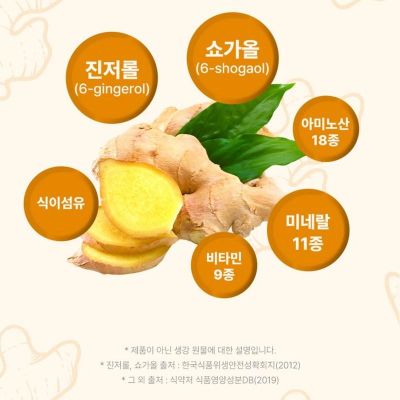 Healthy Routine Organic Lemon Ginger Juice Concentrate 100% Stick, 210g, 1 Piece