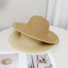Popular big-brimmed sun hat women's seaside vacation straw sun hat spring and summer large-capacity commuter straw bag