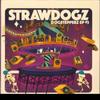 12-дюймовая пластинка STRAWDOGZ - Dogstepperz Ep #3 HOL019 Holistique 2023 Европа Регги, Ска и Даб