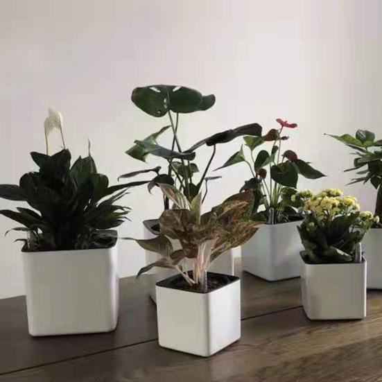 4 шт. индикатор уровня воды буйковый дисплей индикатор влажности растений цветочный горшок измеритель уровня воды для комнатных растений напоминания о нехватке воды