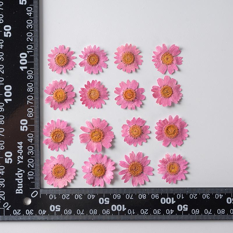 Кристальная хризантема, окрашенная маргаритка, оптом, DIY, материал для изготовления цветов ручной работы, капля клея, лепестки сухих цветов, макияж, тисненые образцы растений