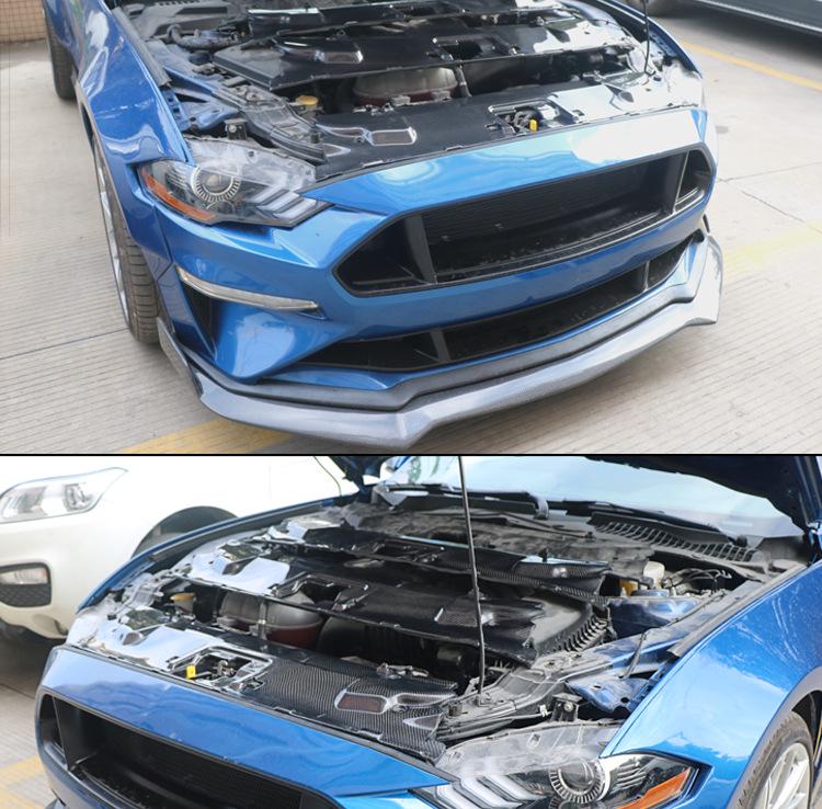 Carbon Fiber Radiator Cover & Hood Latch Guard for 2018-2023 Ford Mustang