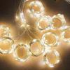 Pleasure Holiday 100LED 3x1Meter Curtain Strings Light USB 8-Mode Fairy Lamp with Remote Control
