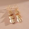 Iron Circular Tassel Earrings Gift Accessories Ear Pendant Metal Drop Earrings  Streetwear