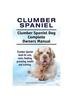 Книга Clumber Spaniel. Clumber Spaniel Dog Complete Owners Manual. Clumber Spaniel Book for Care, Costs, Feeding, Grooming, Health and Training.