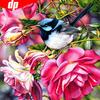 5D DIY Diamond Painting Bird Full Display Diamond Mosaic Embroidery Sale Pictures