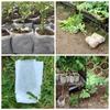 25/50/100pcs Biodegradable Nonwoven Fabric Nursery Plant Grow Bags Seedling Growing Planter Planting Pots Garden Eco-Friendly Ventilate Bag