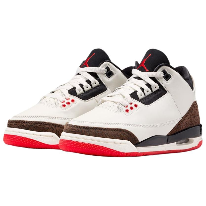 Jordan Баскетбольные кроссовки Air Jordan 3 Унисекс DM0967-103