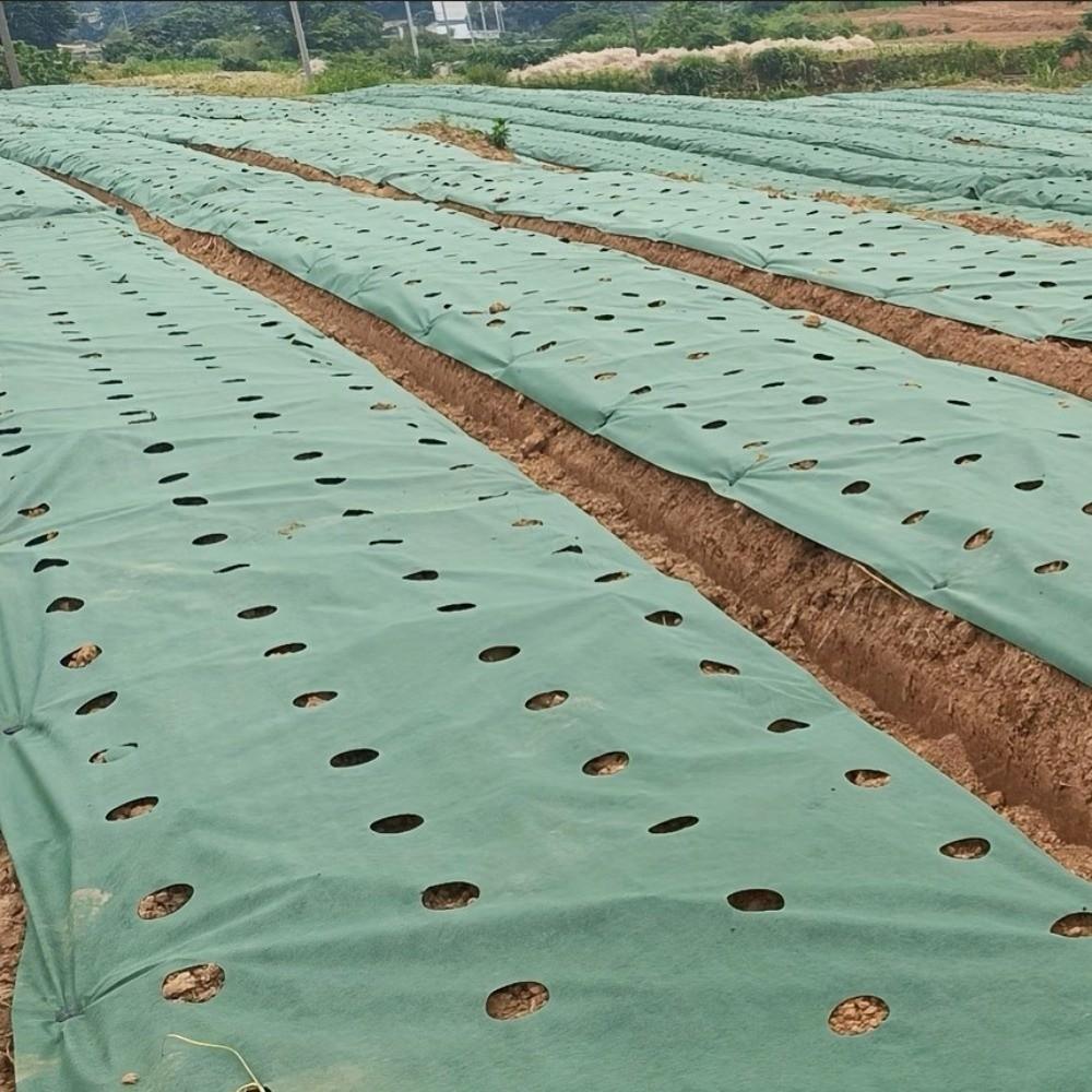 Pre-punched Holes Perforated Grass Proof Cloth Double Layer Breathable Permeable Weed Control Ground Cover Biodegradable