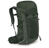Backpack Talon 33 Green Canopy (Men)