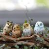 Miniature Cute Owls Fairy Garden Terrarium Figurine Decor Bonsai .5x2.5cm Desk Ornaments 4pcs PACK