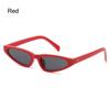 Unique Small Frame Cat Eye Sunglasses for Women Trendy UV Protection Triangle Shades Hip-Hop Sun Glasses Fashion Eyewear