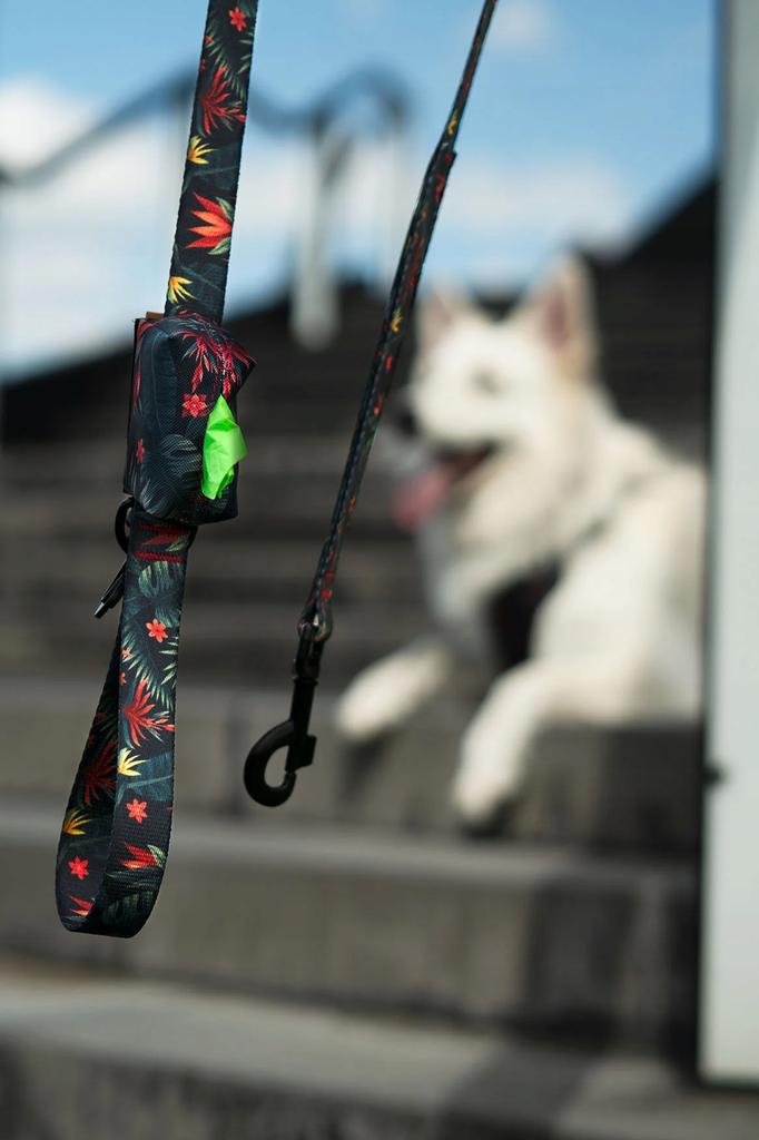 Collar with DOUBLE LOCK buckle for large breeds of reactive dogs 25 Ukory JUNGLE
