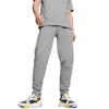 Puma SS25 Трикотажные спортивные штаны Мужские Серые 678381-14