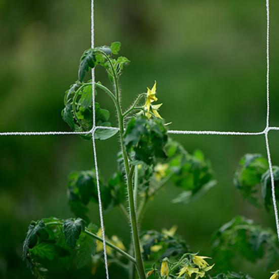 Сетка для скалолазания, высокая эластичность, хорошая сила растяжения, полиэстер, вьющиеся растения, садовая решетка, сетка для улицы