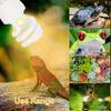 Snake Turtle Energy Saving Heat Calcium Lamp Bulb Reptile Light Succulent UV Light Heating Lamp